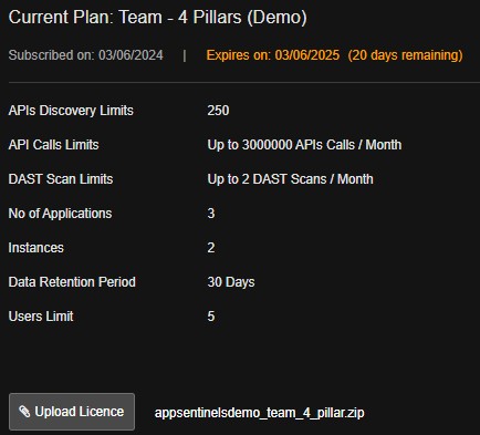License Usage Details
